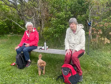 närsjö 4 20260520